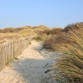 Dunes-Grand Site