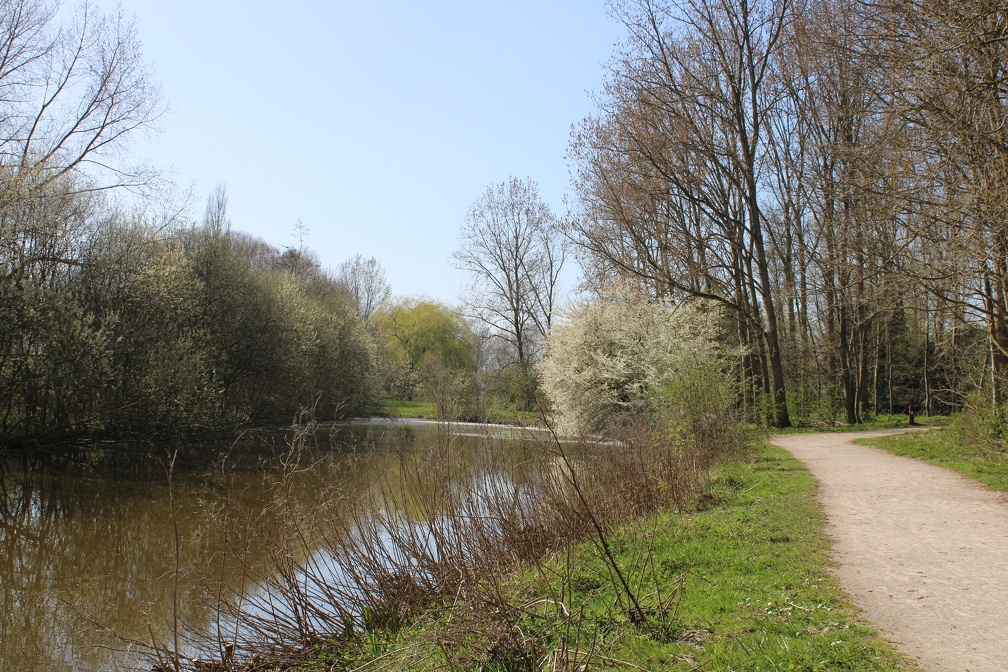 Bois des Forts