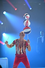 Festival du cirque 
