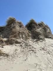 Dune Marchand