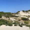 Dune Marchand