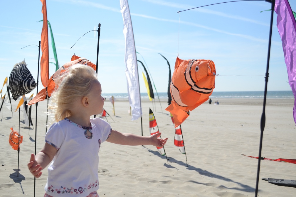 6 PLAGES © Ville de Bray-Dunes