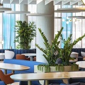 Mercure Hôtel ©Mercure Hôtel (21)
